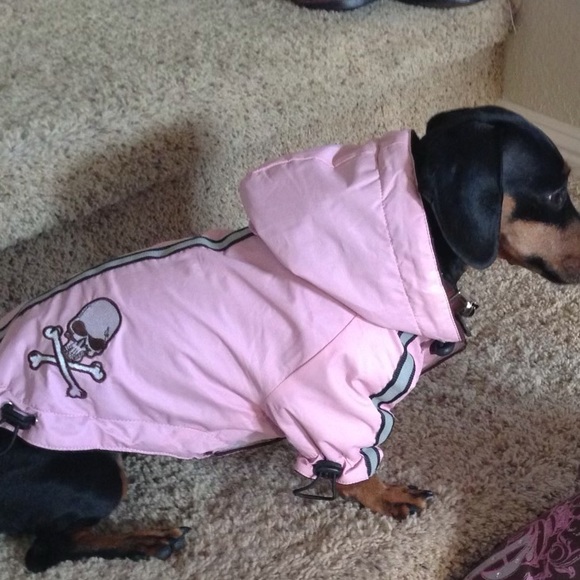 Hip Doggie Velcro closure jacket with hood Small - Picture 16 of 16